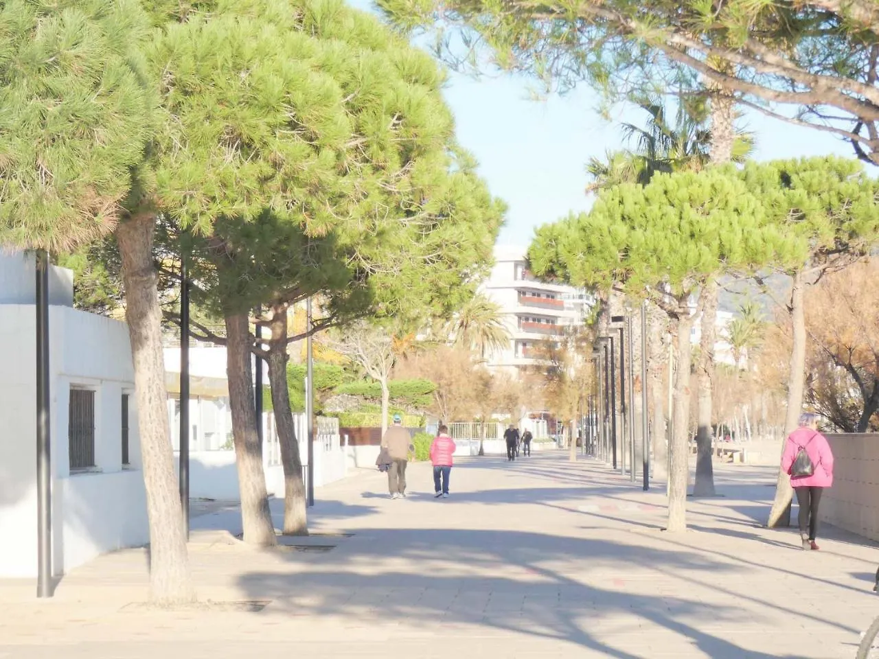 רוזס Holiday Center 04 0*,